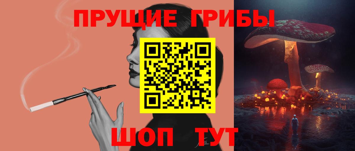 Галлюциногенные грибы Psilocybe  Вход с VPN  Нальчик 